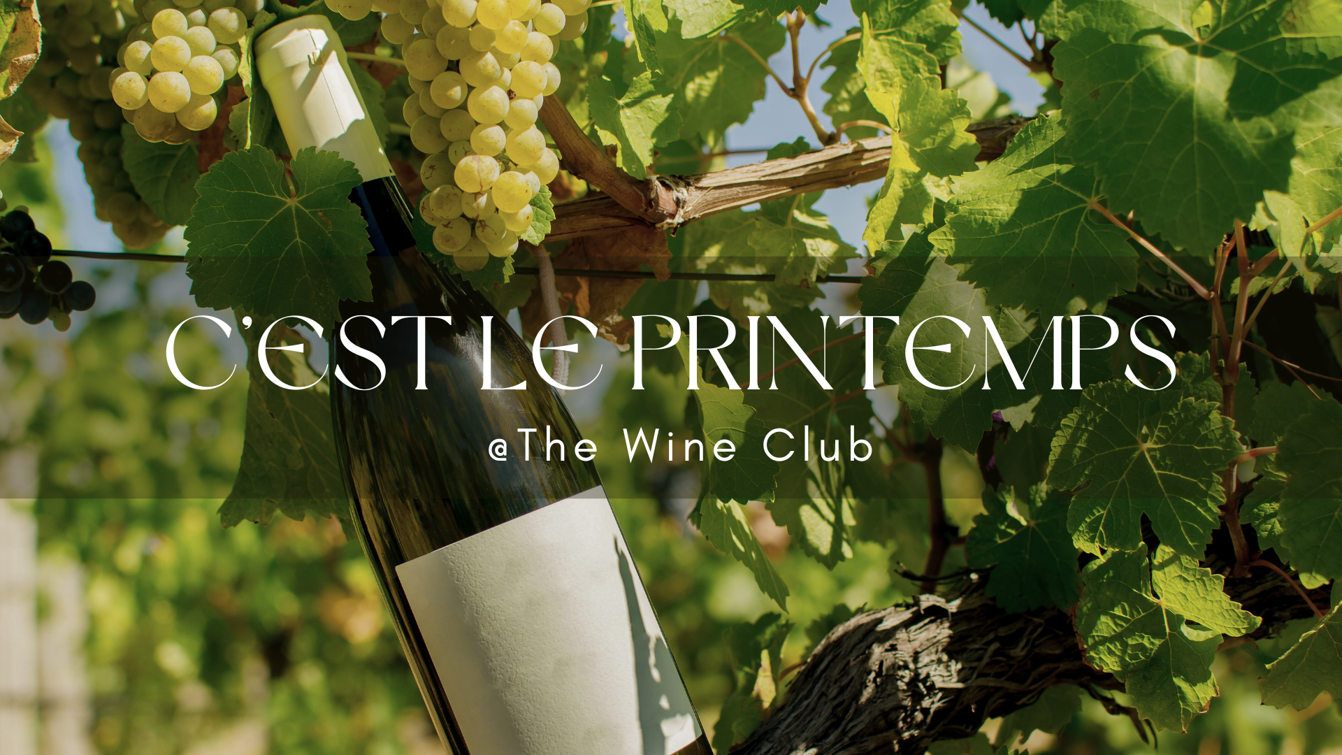 20/03 – C’est le Printemps @The Wine Club